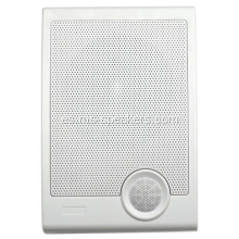 Professional Indoor 5/10 W Speaking Hanging Speaker